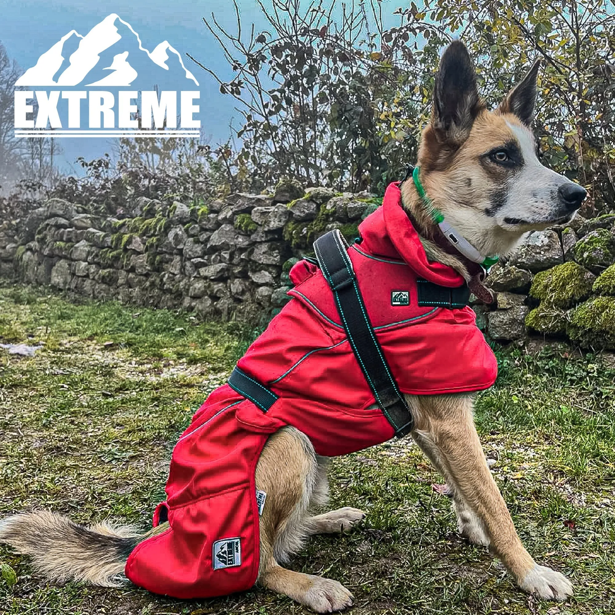 Ancol Extreme Blizzard Dog Coat Red