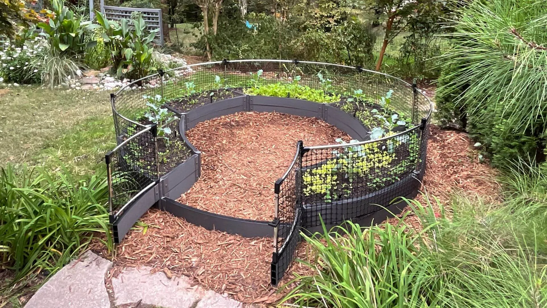 'Roundabout' 10' x 10'  Raised Garden Bed